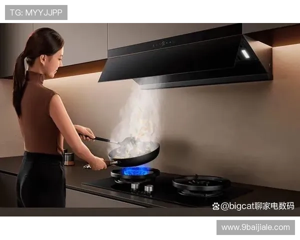 PA官网的用户反馈，真实评价与建议汇总